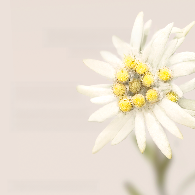 REVACL Timeless Renewal Essence